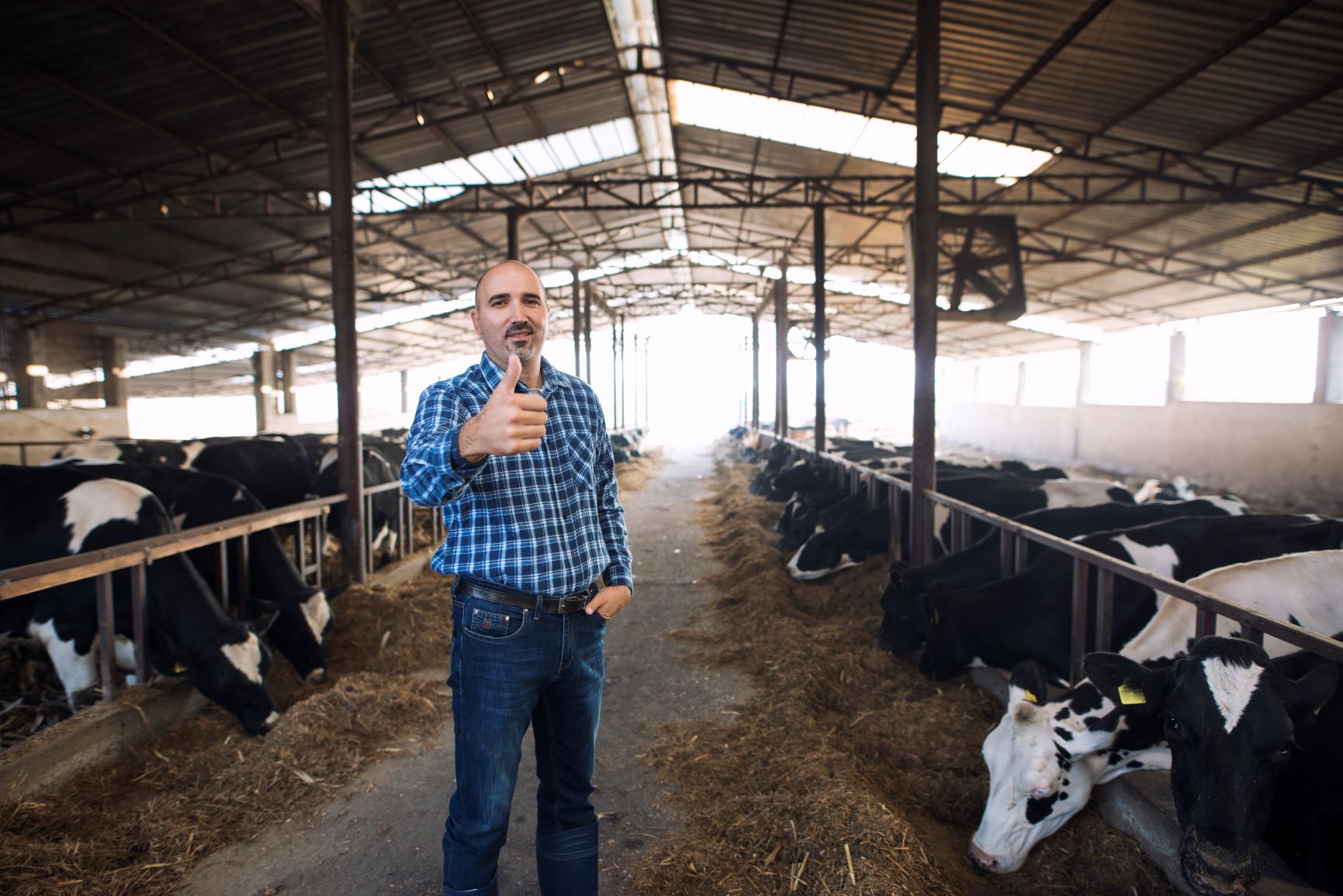 Mais uma conquista com a marca Assesisp: produtores de leite já podem aderir ao SISBI/POA