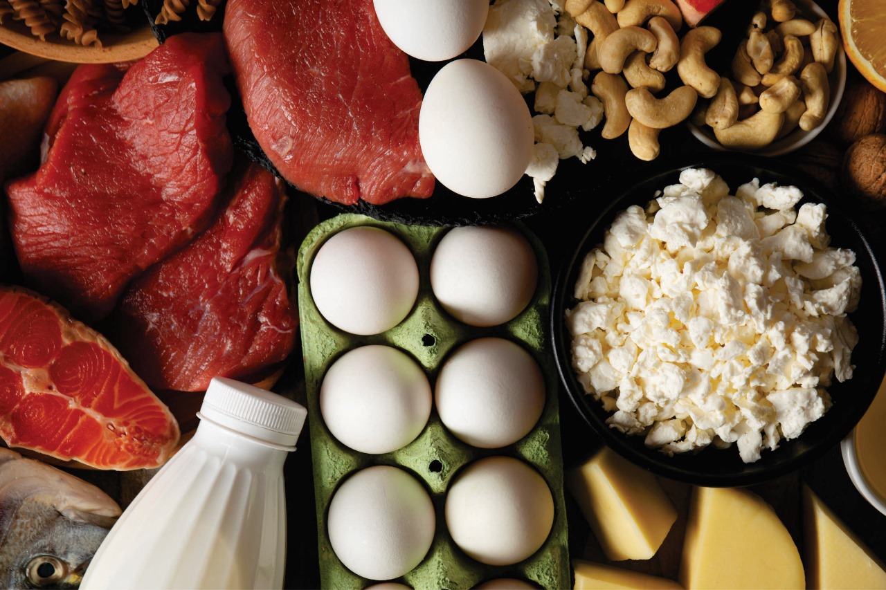 A Importância do Setor de Proteína Animal de São Paulo para a Economia Brasileira