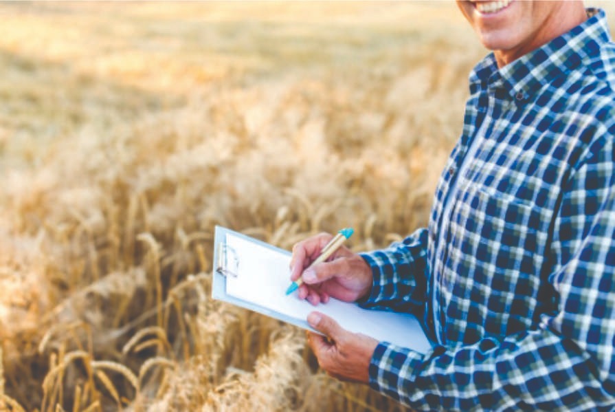 Agro cresce mais de 10% no segundo trimestre de 2025 e reforça importância do setor para a economia