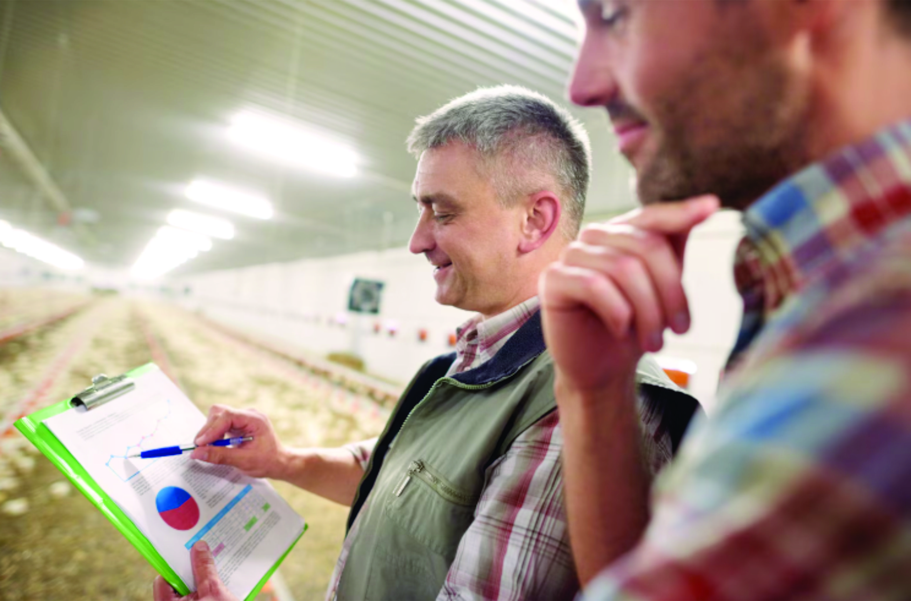 Agro paulista fecha 2025 com superávit histórico